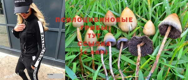 mdma Горняк