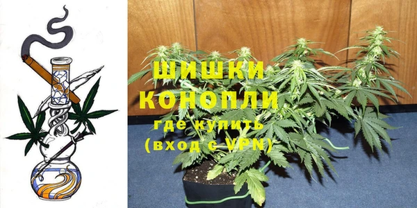 спиды Горно-Алтайск