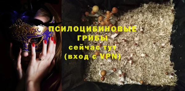 сатива Гусиноозёрск